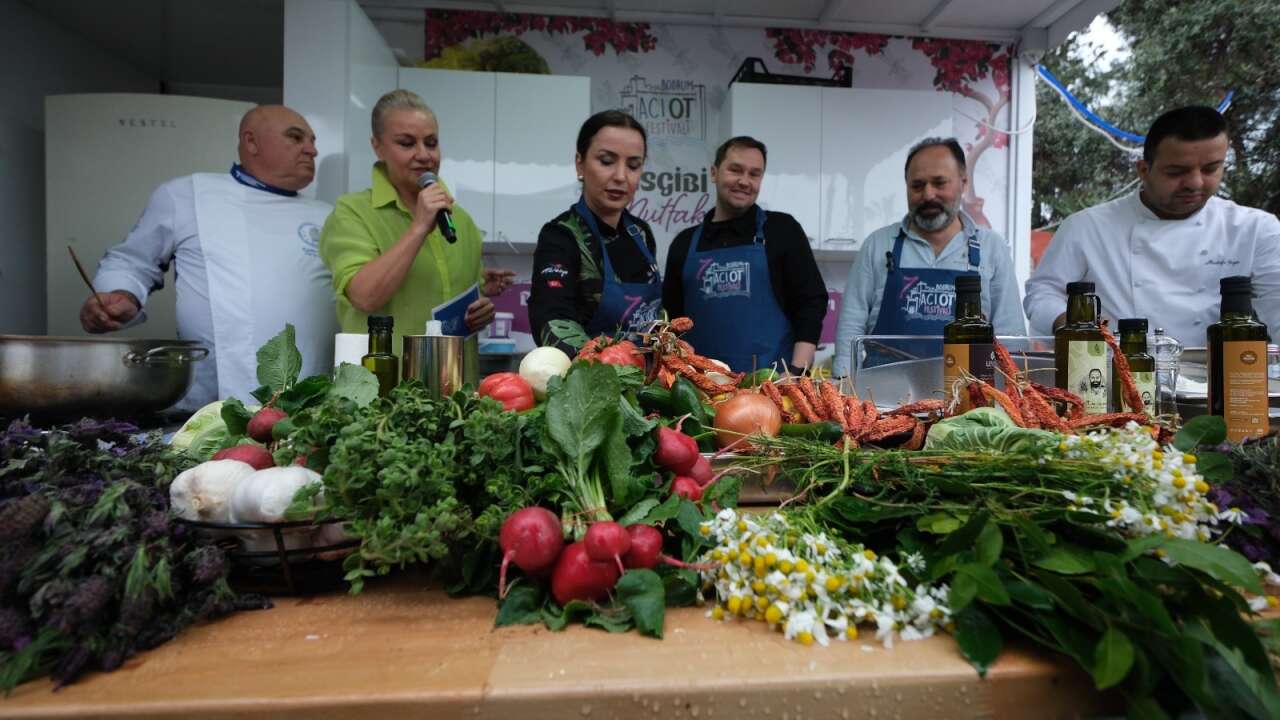 Bodrum’da Yağışa Rağmen İzdiham, Acı Ot Festivali’ne Ziyaretçi Akını 4