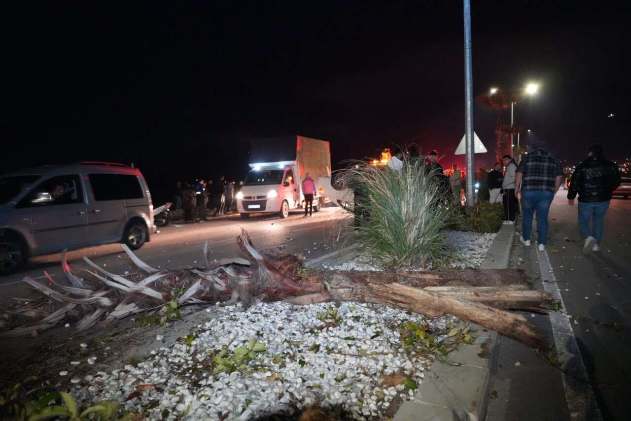 Çevre Yolunu Pist Sandı: Ağaçlara Çarpıp Takla Attı 1