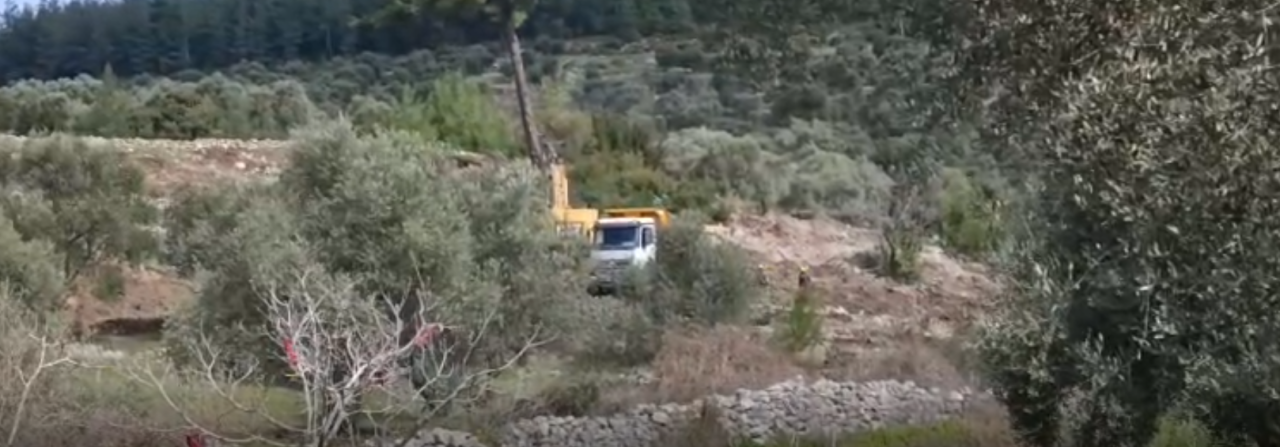 Akbelen Çevresinde Zeytin Gerginliği: “Mücadeleye Devam Edeceğiz “ 4