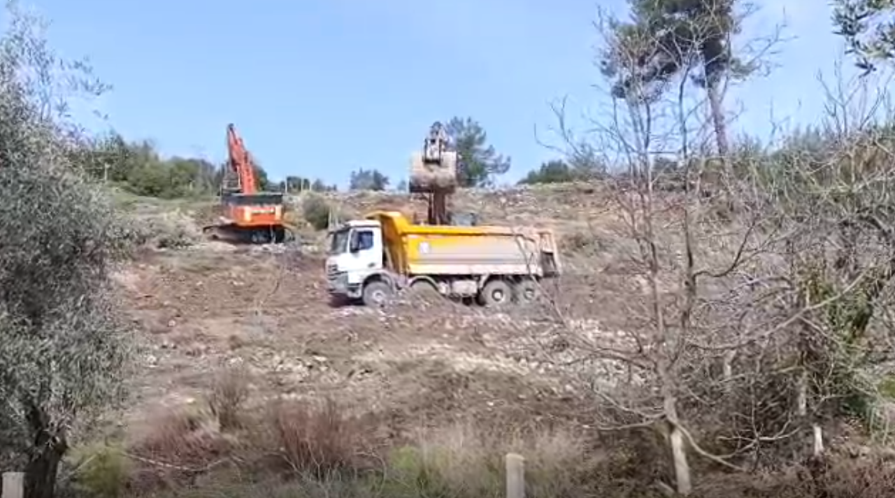 Akbelen Çevresinde Zeytin Gerginliği: “Mücadeleye Devam Edeceğiz “ 2