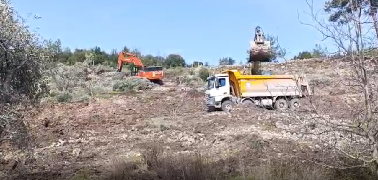 Akbelen Çevresinde Zeytin Gerginliği: “Mücadeleye Devam Edeceğiz “ 3