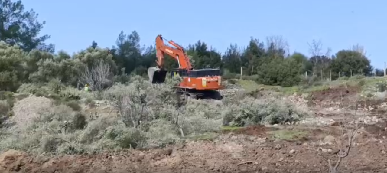 Akbelen Çevresinde Zeytin Gerginliği: “Mücadeleye Devam Edeceğiz “ 5