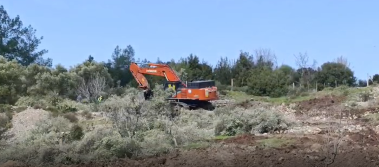 Akbelen Çevresinde Zeytin Gerginliği: “Mücadeleye Devam Edeceğiz “ 6