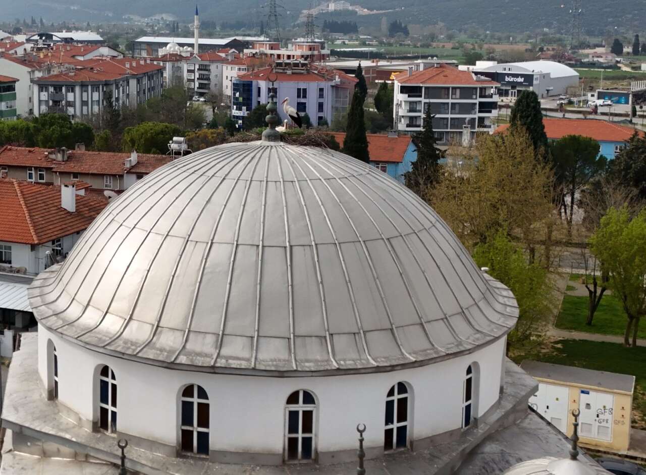 Menteşe’de Leylek Geleneği 30 Yıldır Sürüyor 1