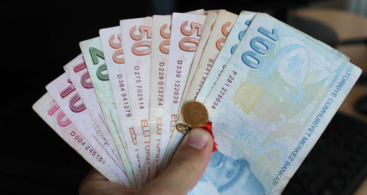 Geri Ödemesiz 1 Milyon Lira Hibe: İşte Dev Devlet Desteği İçin Başvuru Şartları 22