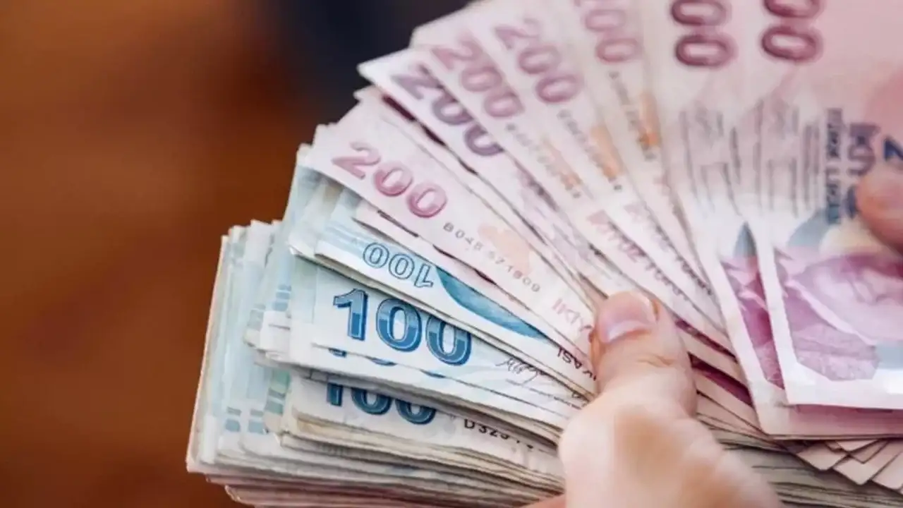 Geri Ödemesiz 1 Milyon Lira Hibe: İşte Dev Devlet Desteği İçin Başvuru Şartları 15