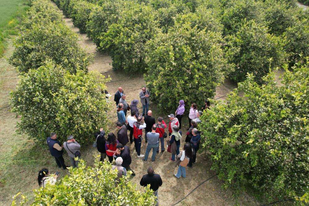 Muğla’da Vizyon Proje Başladı: Tarım Eğitimi Sahaya İndi 1