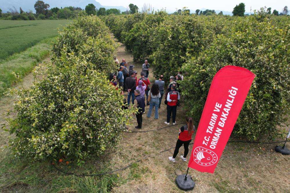 Muğla’da Vizyon Proje Başladı: Tarım Eğitimi Sahaya İndi 2