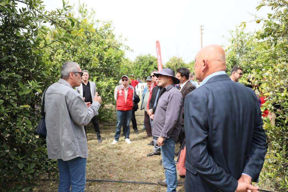 Muğla’da Vizyon Proje Başladı: Tarım Eğitimi Sahaya İndi 4