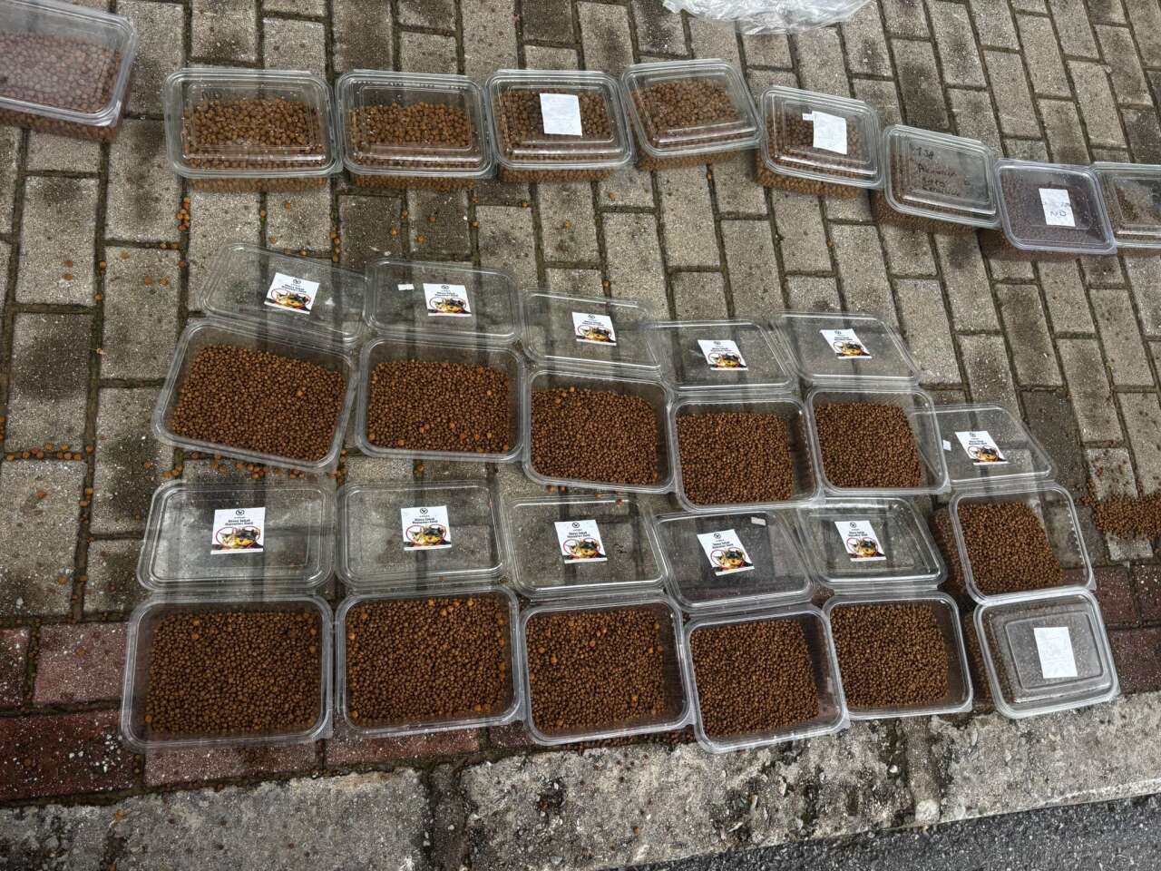 Muğlaspor Taraftarları Menteşe’de Sokak Hayvanlarını Unutmadı 5