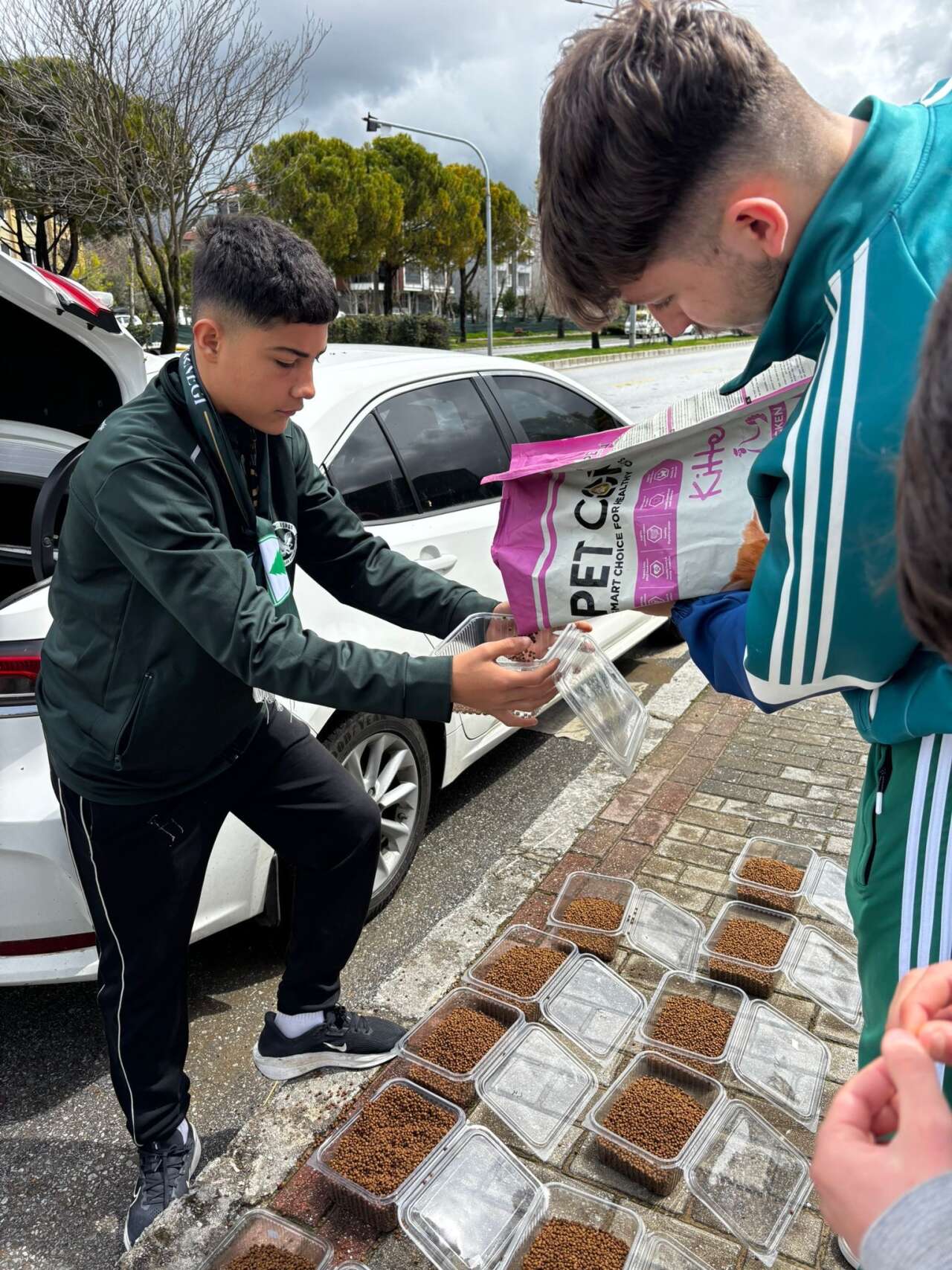 Muğlaspor Taraftarları Menteşe’de Sokak Hayvanlarını Unutmadı 1