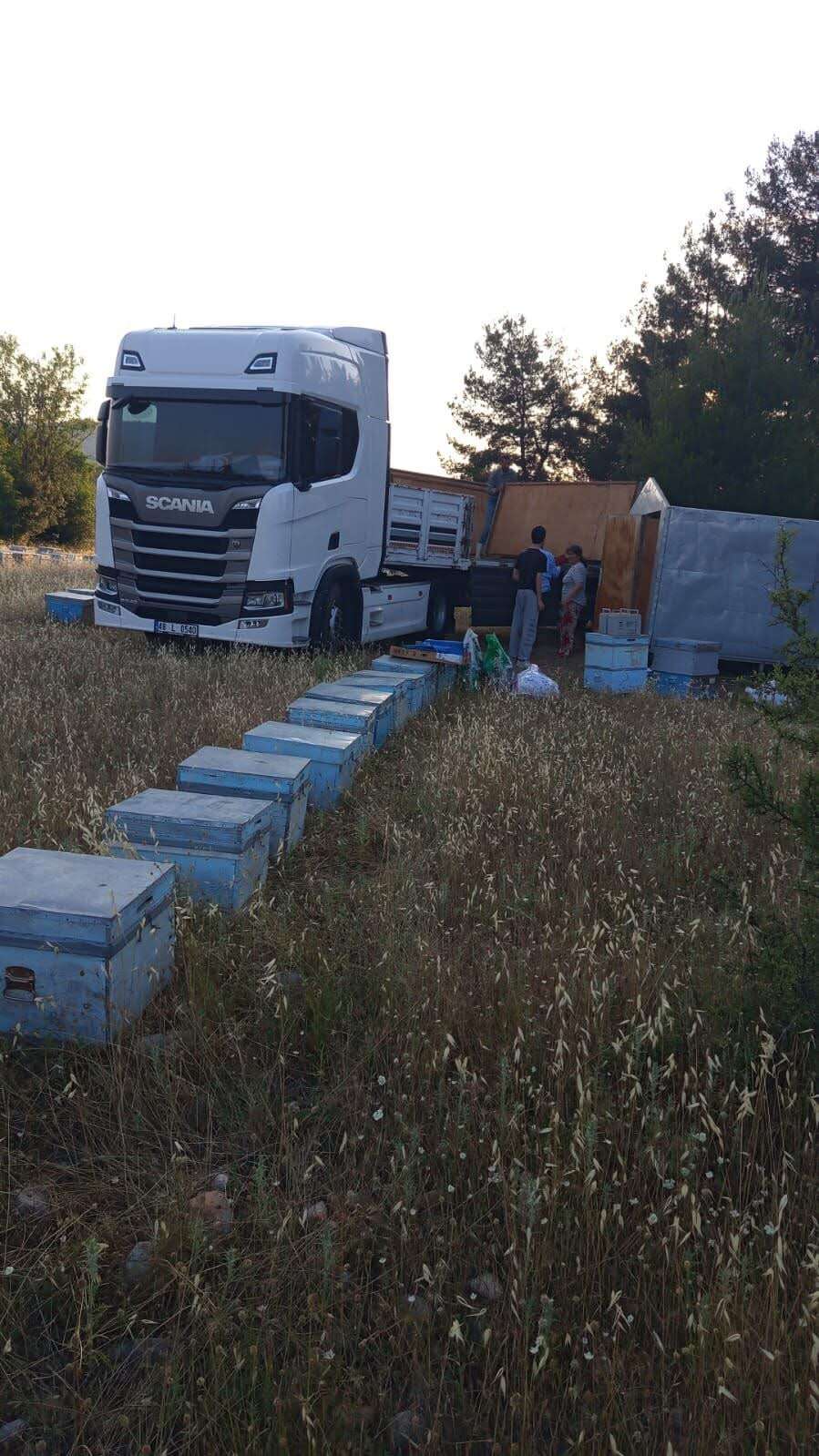 Muğla’dan  İç Anadolu’ya Arı Göçü Başladı: Çam Balında “Altın Yıl” Beklentisi 4