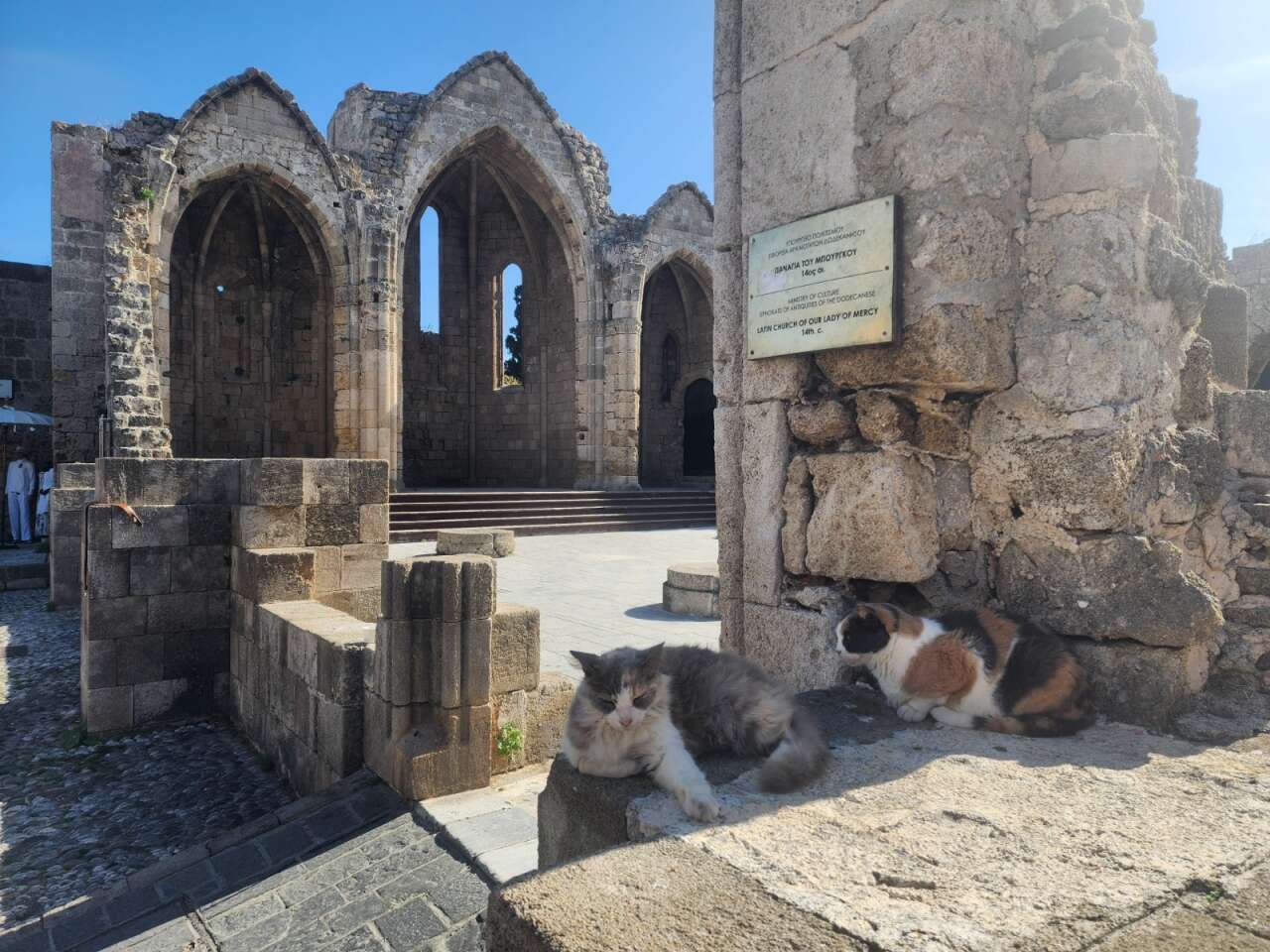 Türk Turistler Yunan Adalarına Akın Etti, Gümrüklerde Kuyruk Oluştu 8