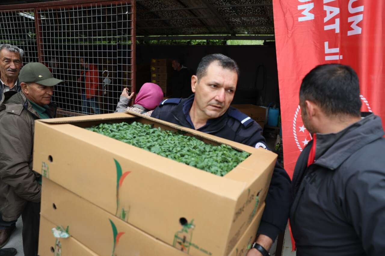 Menteşe’de Ata Fideleri Dağıtıldı 3