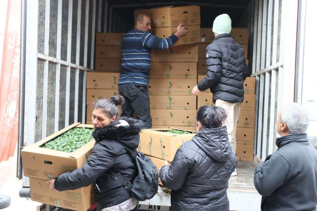 Menteşe’de Ata Fideleri Dağıtıldı 7