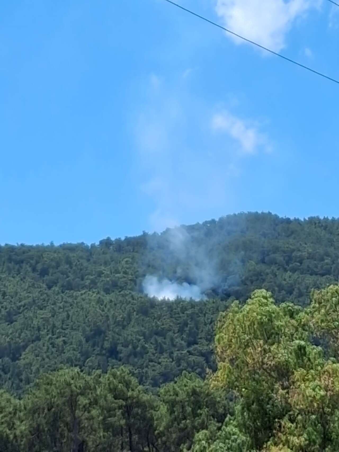 Muğla’da Yıldırım Kaynaklı 2 Orman Yangını Çıktı 1
