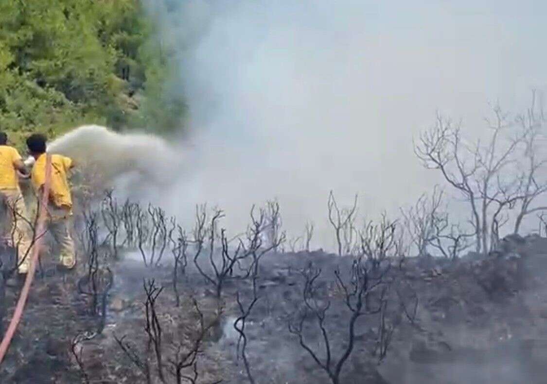 Muğla’da Yıldırım Kaynaklı 2 Orman Yangını Çıktı 2