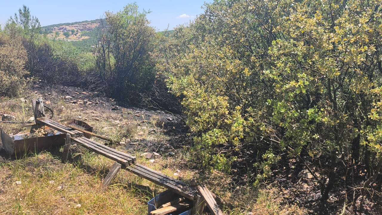 Muğla'da Orman Yangını Ekiplerin Hızlı Müdahalesi ile Söndürüldü 3