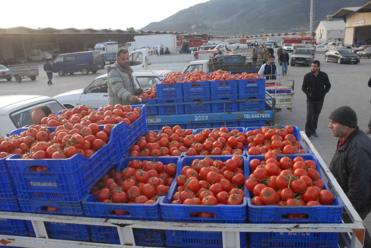 Muğla’dan 107 Milyon Dolarlık İhracat Başarısı 5