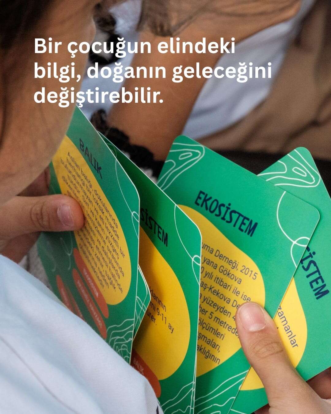 Akdeniz Koruma Derneğinden Muğla'daki Öğrencilere Çevre Eğitimi 2