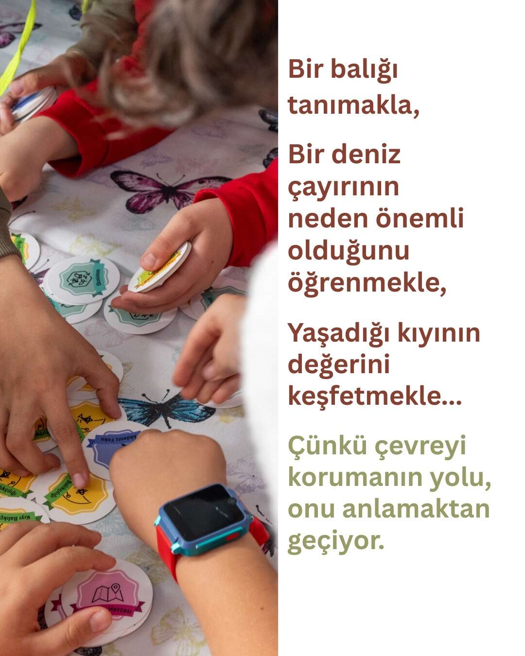 Akdeniz Koruma Derneğinden Muğla'daki Öğrencilere Çevre Eğitimi 1