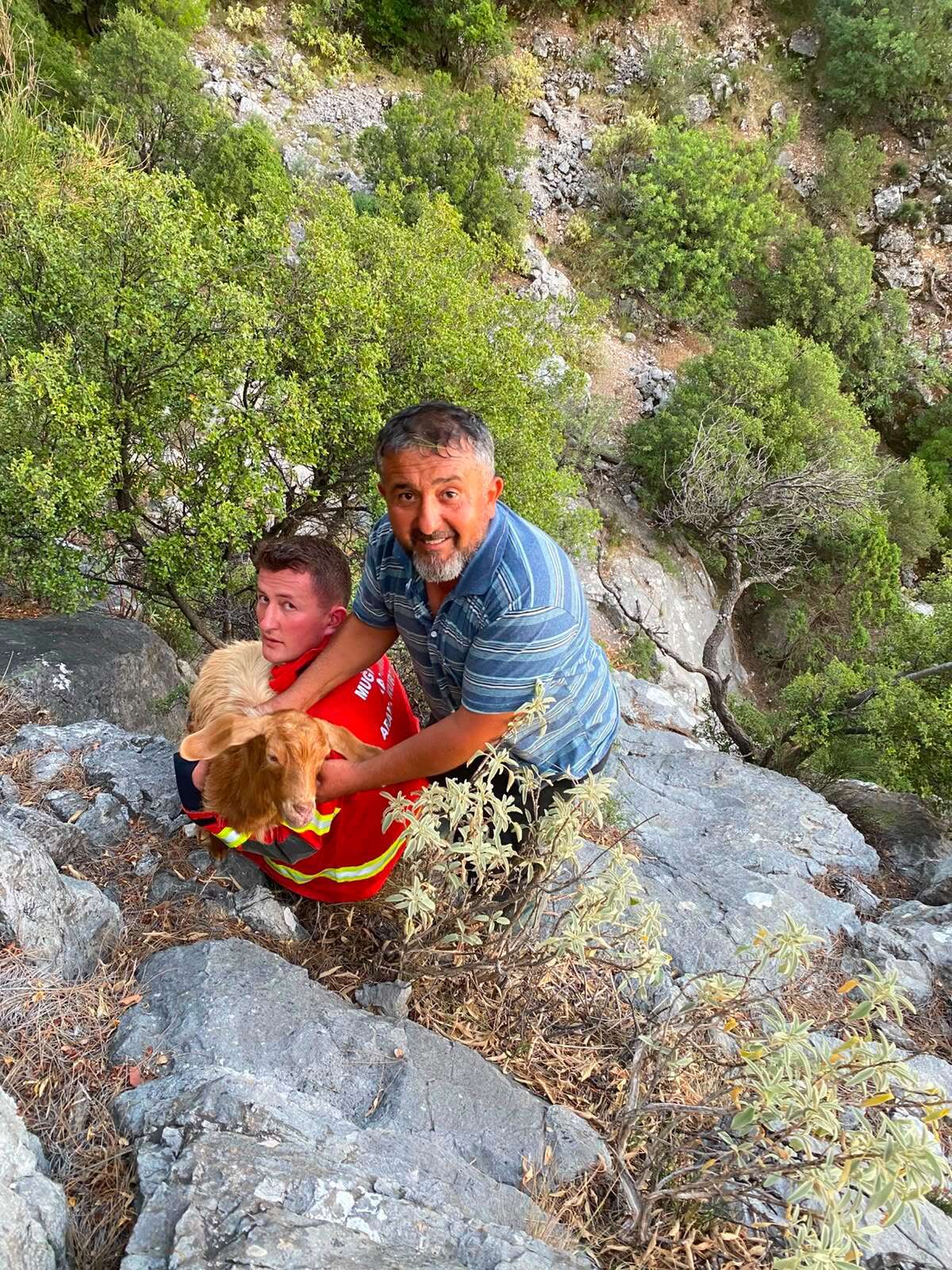 Seydikemer’de Kayalıkta Mahsur Kalan Oğlak Kurtarıldı 2