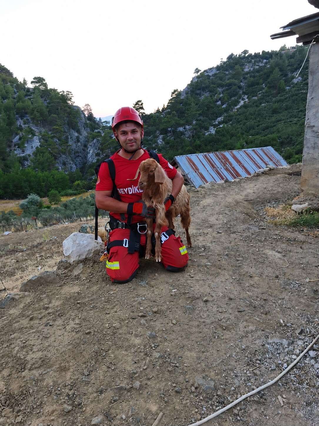 Seydikemer’de Kayalıkta Mahsur Kalan Oğlak Kurtarıldı 1