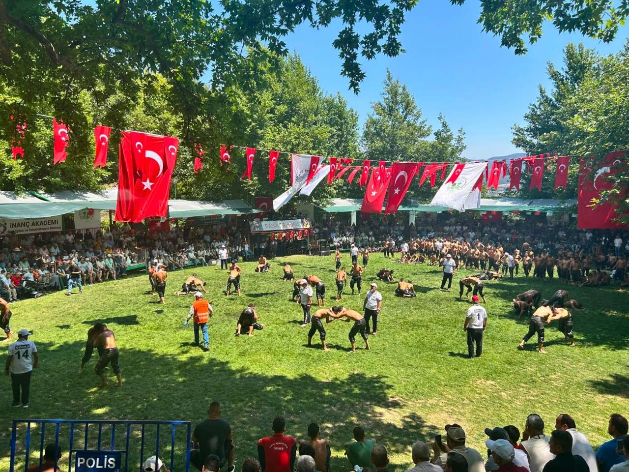 Başpehlivan Belli Oldu! Erkan Taş, 32. Menteşe Beşpınar Yağlı Pehlivan Güreşleri'nin Şampiyonu Oldu 1