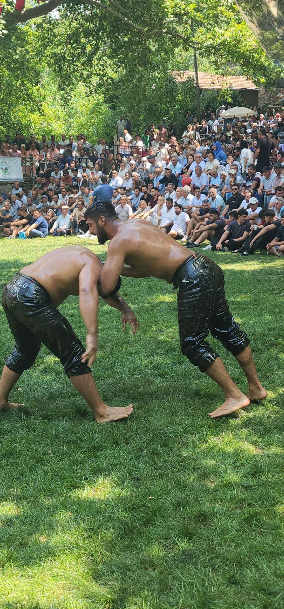 Başpehlivan Belli Oldu! Erkan Taş, 32. Menteşe Beşpınar Yağlı Pehlivan Güreşleri'nin Şampiyonu Oldu 3