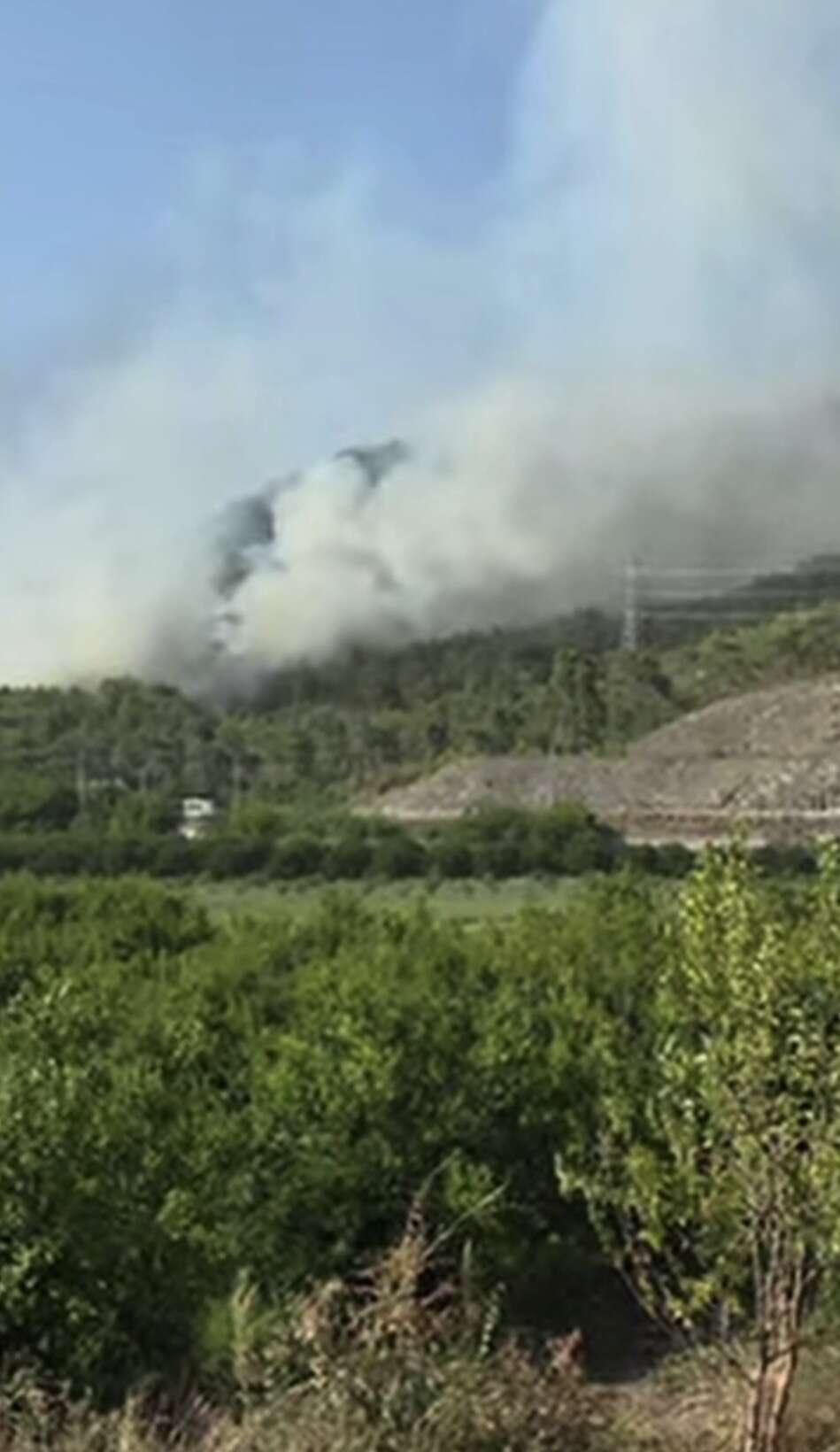 Muğla’da Korkutan Yangın: Ortaca Çevre Yolunda Alevlerle Mücadele Sürüyor 1