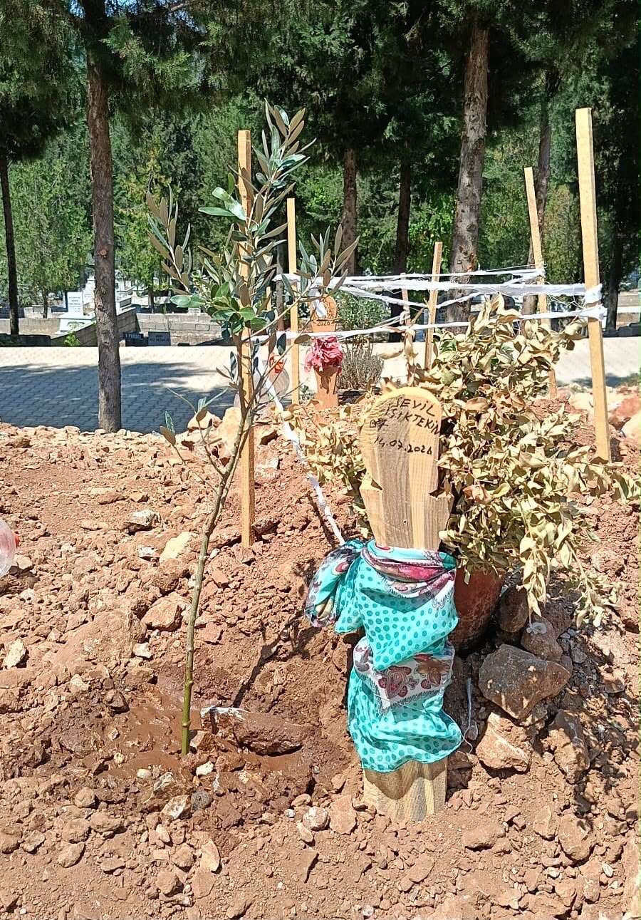 Muğla'da Sevil Işıker İçin Anlamlı Vefa: Mezarına Zeytin Ağaçları Dikildi 1