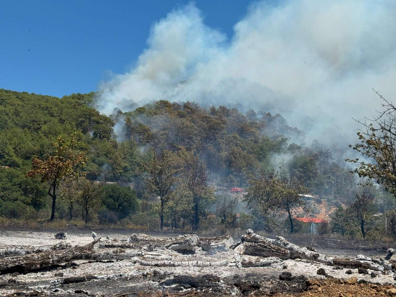 Muğla Valisi Açıkladı: Fethiye'de Bir Mahalle Tedbir Amaçlı Boşaltılıyor 4