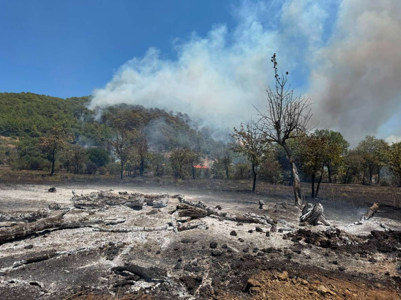 Muğla Valisi Açıkladı: Fethiye'de Bir Mahalle Tedbir Amaçlı Boşaltılıyor 3