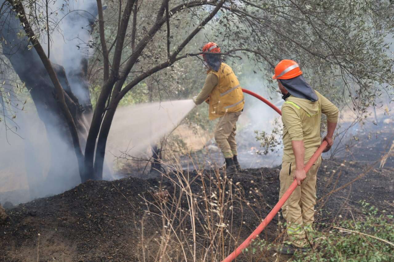 Fethiye'de Korkutan Orman Yangını, Lüks Villalar Alevlere Teslim Oldu 2