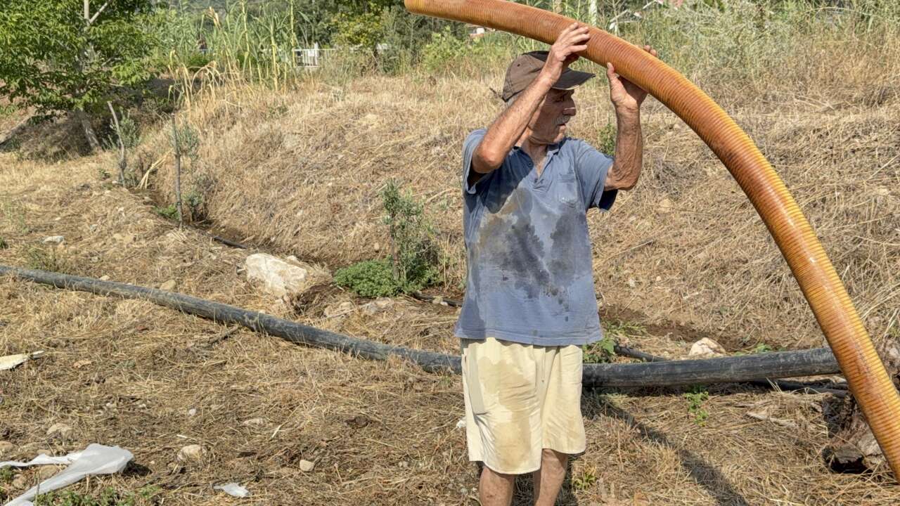 Zeytinlikleri Kül Oldu, Gözyaşını İçine Akıtıp Yangına Su Taşıdı 3