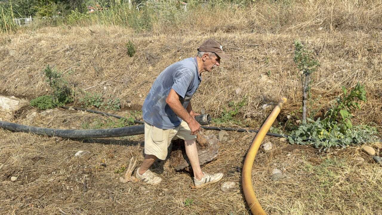 Zeytinlikleri Kül Oldu, Gözyaşını İçine Akıtıp Yangına Su Taşıdı 2