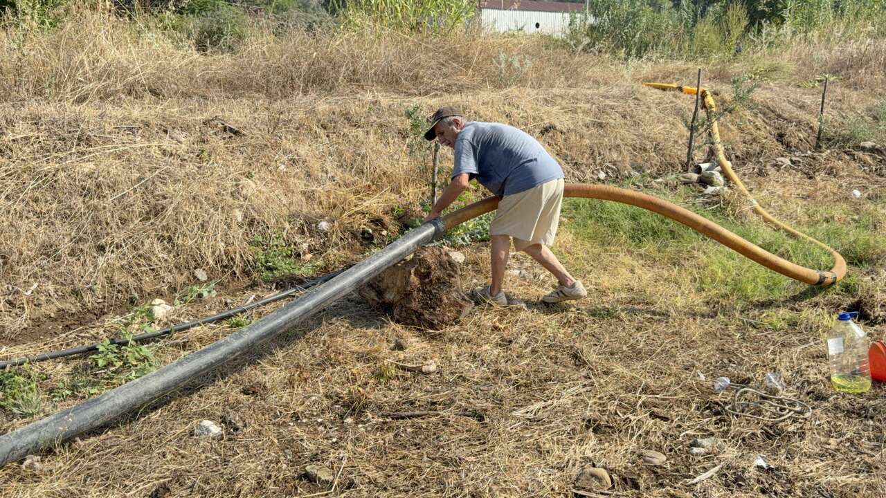 Zeytinlikleri Kül Oldu, Gözyaşını İçine Akıtıp Yangına Su Taşıdı 1