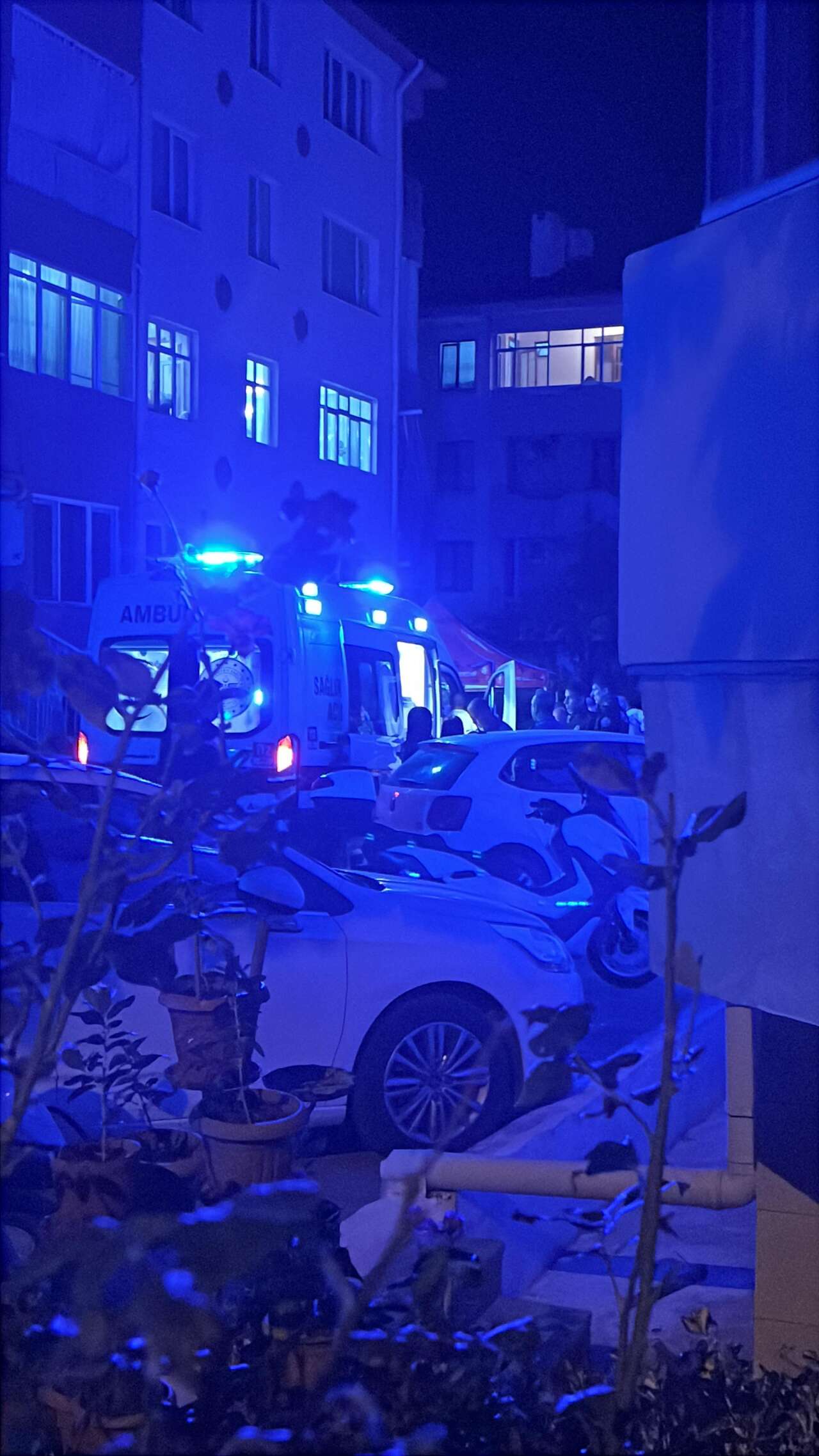 Muğla'da Enişte-Kayınbirader Kavgası: Bir Kişi Başından Yaralandı 2