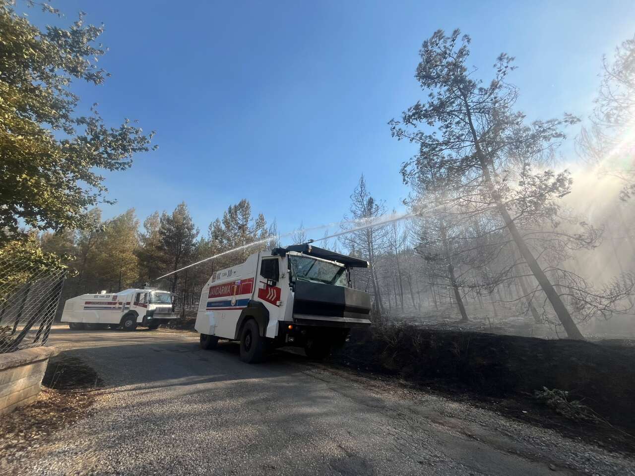 Alevlere Havadan ve Karadan Müdahale: Jandarma Muğla'da Yangınla Mücadelede Kritik Rol Üstlendi 1