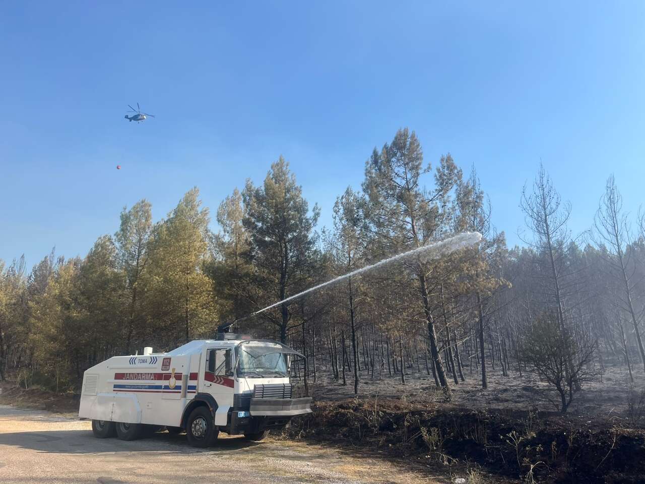 Alevlere Havadan ve Karadan Müdahale: Jandarma Muğla'da Yangınla Mücadelede Kritik Rol Üstlendi 2