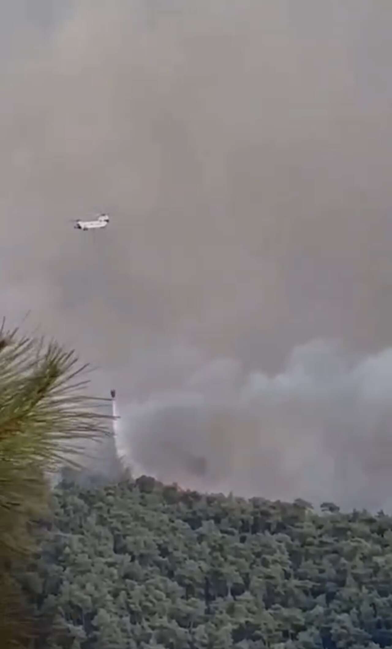 Muğla'dan Sevindiren Haber, Fethiye Yangını Kontrol Altında 2