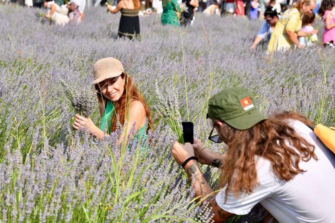 Fethiye’de Lavanta Hasadına Yoğun İlgi: 5. Hasat Coşkuyla Gerçekleşti 4