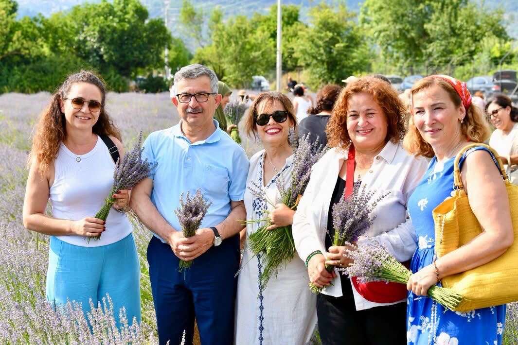 Fethiye’de Lavanta Hasadına Yoğun İlgi: 5. Hasat Coşkuyla Gerçekleşti 3
