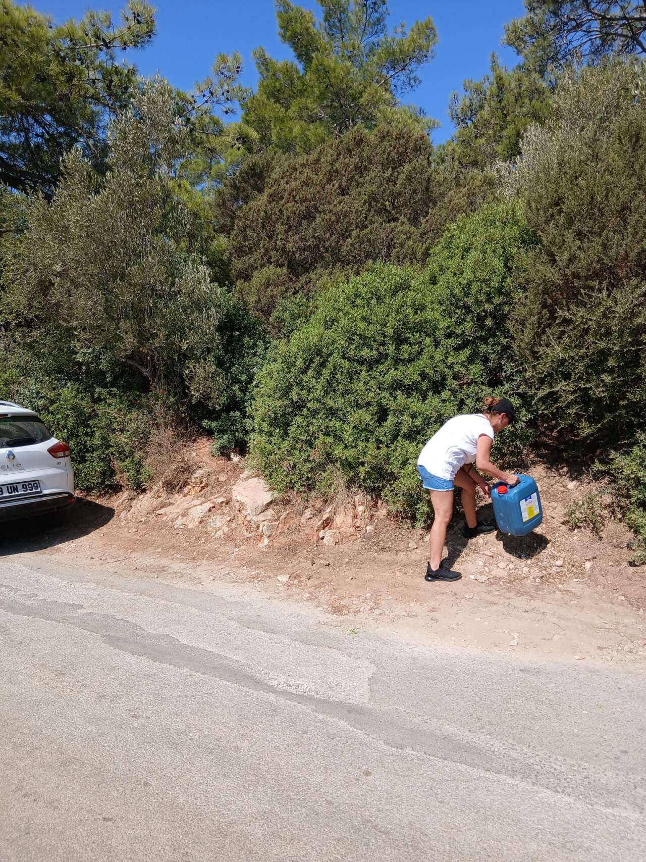 Torba Koyu Derneği’nden Orman Yangınlarına Karşı Anlamlı Dayanışma 1