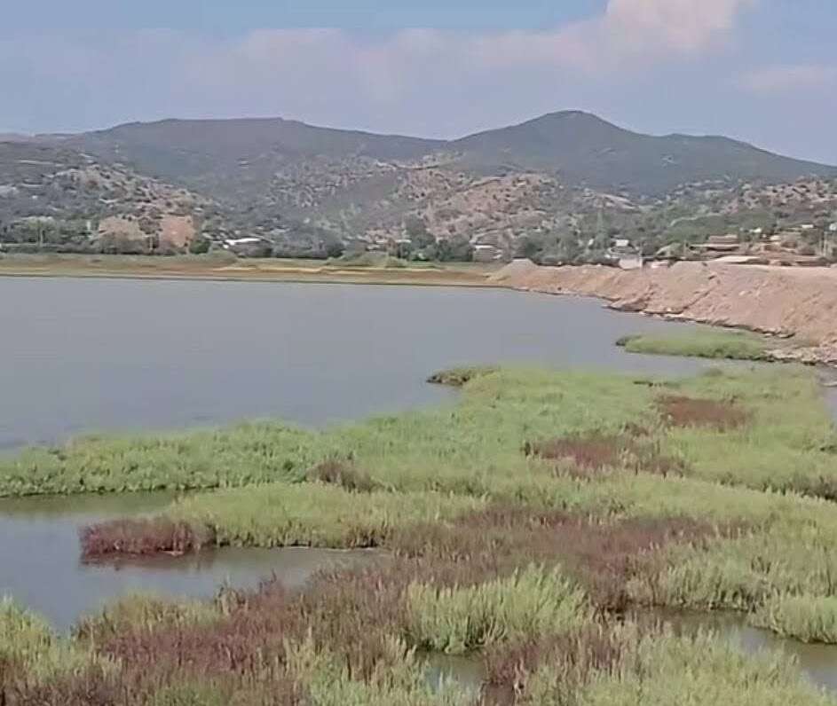 Muğla Su İnisiyatifi’nden Bargilya Sulak Alanı’nda dolgu tepkisi: “Dolguyu durdurun” 1