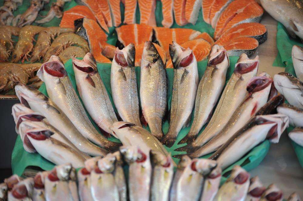 Muğla’nın Su Ürünleri İhracatı 745 Milyon Dolara Ulaştı 1