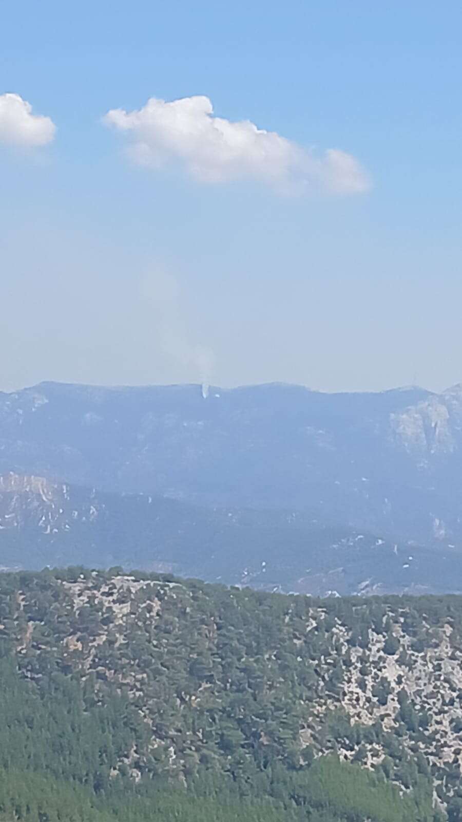 Milas'ta Orman Yangını Kontrol Altına Alındı 2