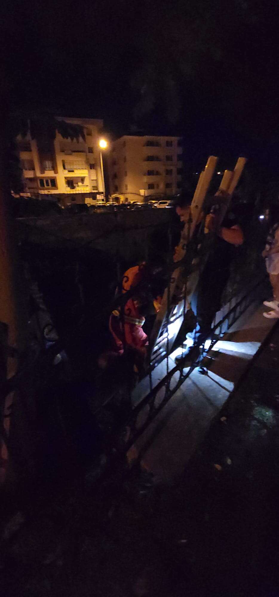 Muğla’da İtfaiyeden Kedi İçin İlginç Kurtarma Operasyonu, Telefonda Kedi Sesi Açıp Kurtardılar 2