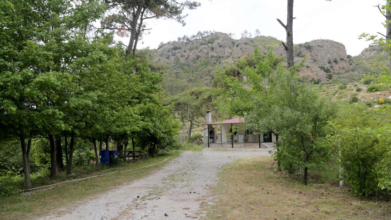 Muğla’daki Büyük Yangınların Üzerinden 5 Yıl Geçti: Yanan Ormanlar Yeniden Yeşerdi 13
