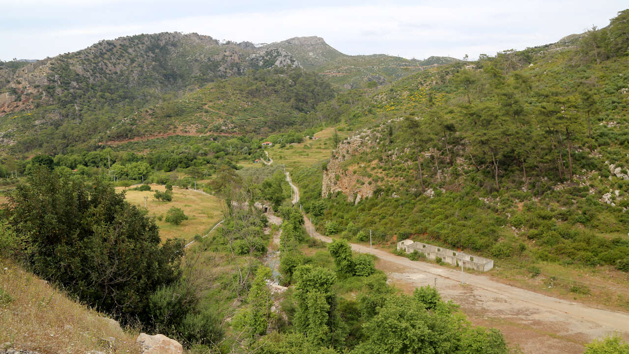Muğla’daki Büyük Yangınların Üzerinden 5 Yıl Geçti: Yanan Ormanlar Yeniden Yeşerdi 14
